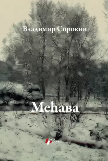 mećava vladimir sorokin
