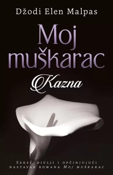 moj muškarac kazna džodi elen malpas