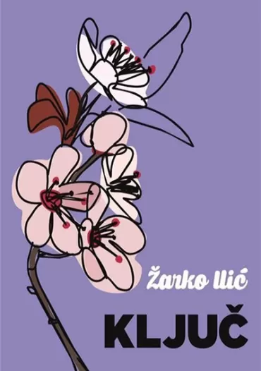 ključ žarko ilić