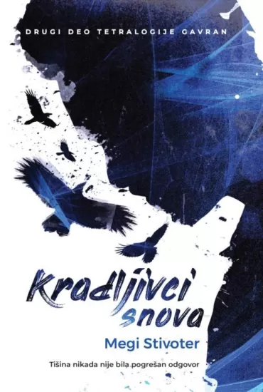 kradljivci snova megi stivoter