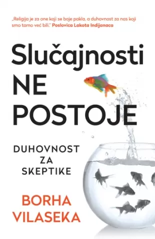 slučajnosti ne postoje borha vilaseka