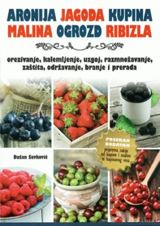 aronija, jagoda, kupina, malina, ogrozd, ribizla dušan savković