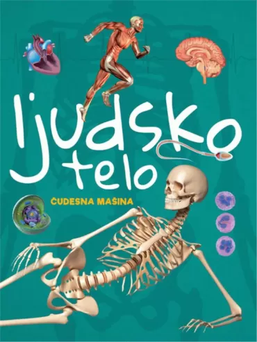 ljudsko telo grupa autora
