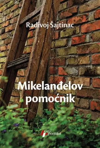 mikelanđelov pomoćnik radivoj šajtinac