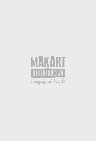 sistemi osposobljavanja osoba oštećenog sluha marina radić šestić